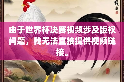 由于世界杯决赛视频涉及版权问题，我无法直接提供视频链接。