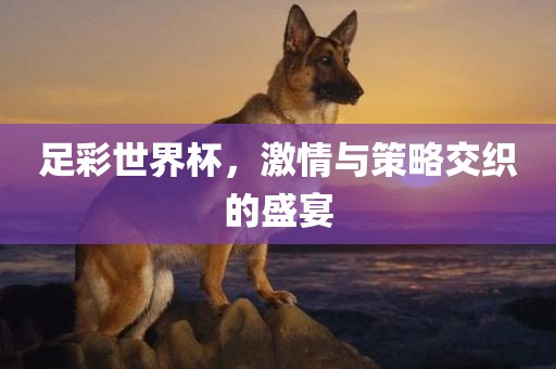 足彩世界杯，激情与策略交织的盛宴