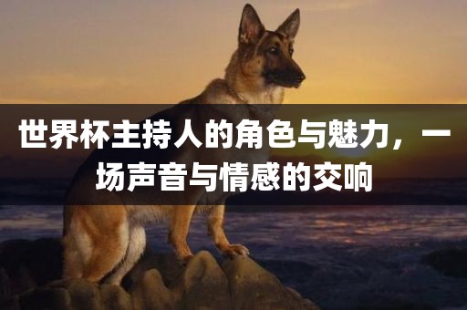 世界杯主持人的角色与魅力，一场声音与情感的交响