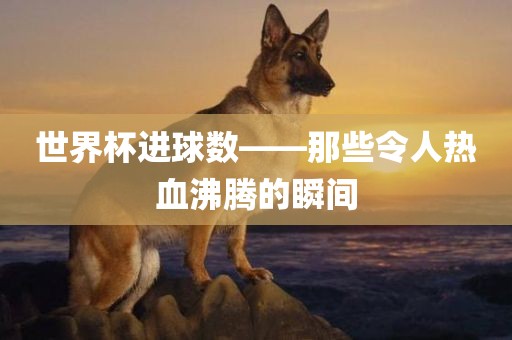 世界杯进球数——那些令人热血沸腾的瞬间