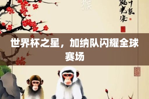 世界杯之星，加纳队闪耀全球赛场