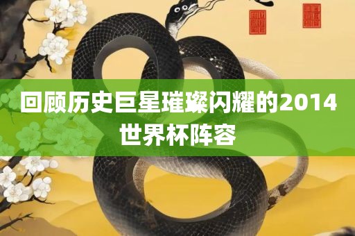 回顾历史巨星璀璨闪耀的2014世界杯阵容