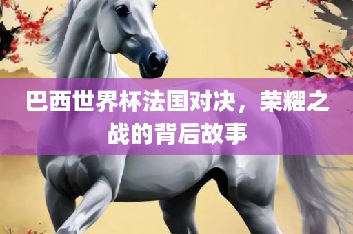 巴西世界杯法国对决，荣耀之战的背后故事