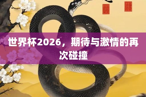 世界杯2026，期待与激情的再次碰撞
