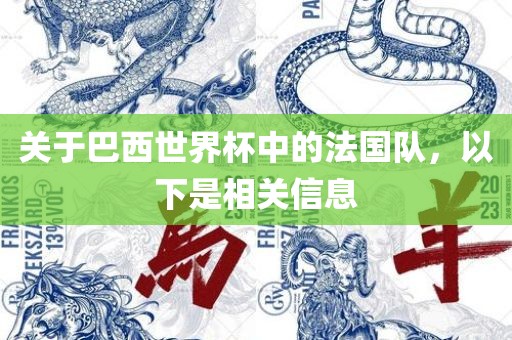 关于巴西世界杯中的法国队，以下是相关信息