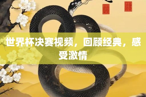 世界杯决赛视频，回顾经典，感受激情