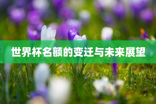 世界杯名额的变迁与未来展望