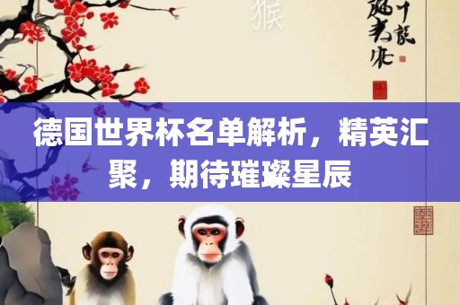 德国世界杯名单解析，精英汇聚，期待璀璨星辰