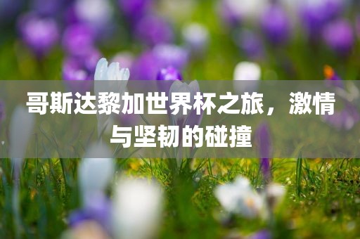 哥斯达黎加世界杯之旅，激情与坚韧的碰撞