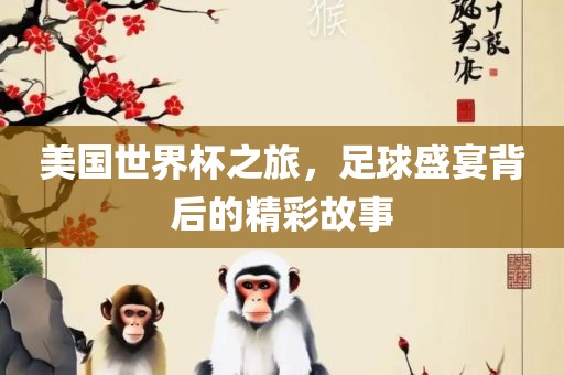 美国世界杯之旅，足球盛宴背后的精彩故事