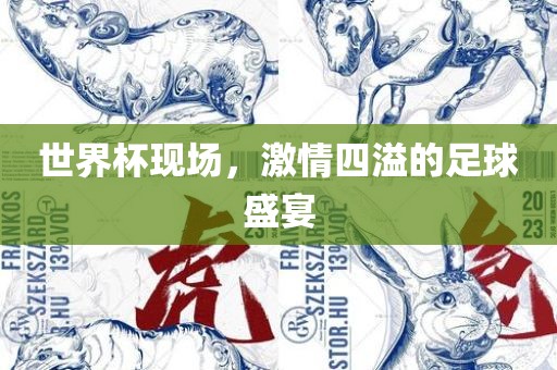 世界杯现场，激情四溢的足球盛宴