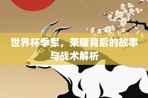 世界杯季军，荣耀背后的故事与战术解析