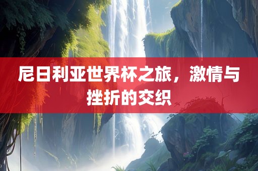 尼日利亚世界杯之旅，激情与挫折的交织