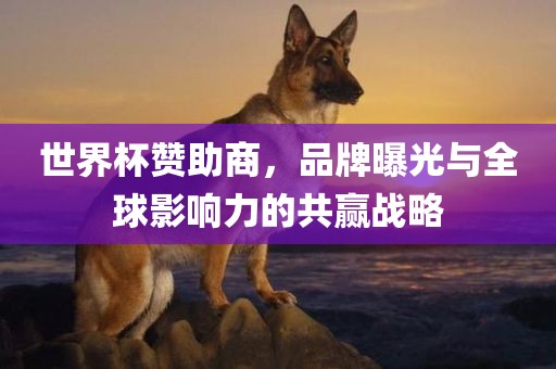 世界杯赞助商，品牌曝光与全球影响力的共赢战略