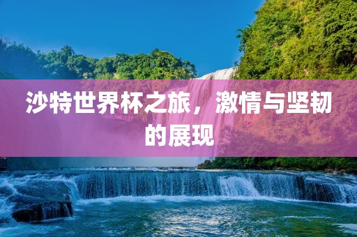 沙特世界杯之旅，激情与坚韧的展现