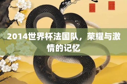 2014世界杯法国队，荣耀与激情的记忆
