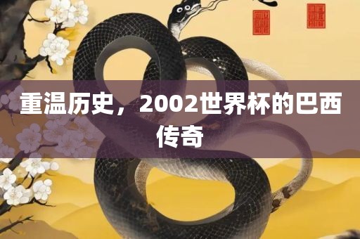 重温历史，2002世界杯的巴西传奇