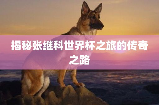 揭秘张继科世界杯之旅的传奇之路