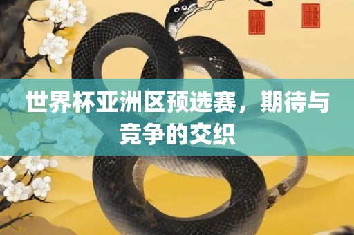 世界杯亚洲区预选赛，期待与竞争的交织