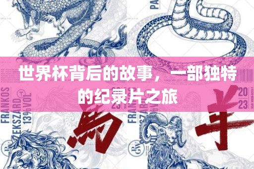 世界杯背后的故事，一部独特的纪录片之旅