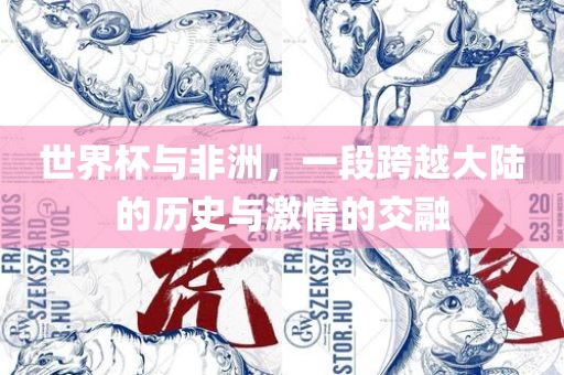 世界杯与非洲，一段跨越大陆的历史与激情的交融
