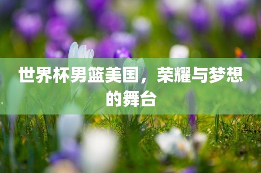 世界杯男篮美国，荣耀与梦想的舞台