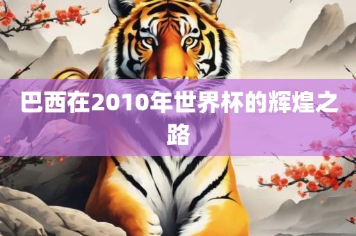 巴西在2010年世界杯的辉煌之路