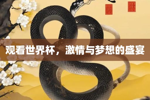 观看世界杯，激情与梦想的盛宴