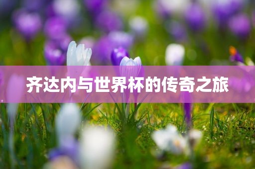 齐达内与世界杯的传奇之旅