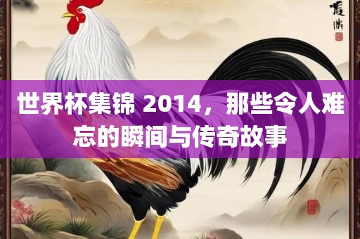 世界杯集锦 2014，那些令人难忘的瞬间与传奇故事