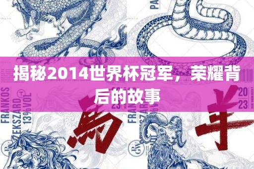 揭秘2014世界杯冠军，荣耀背后的故事