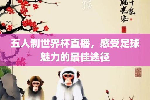 五人制世界杯直播，感受足球魅力的最佳途径