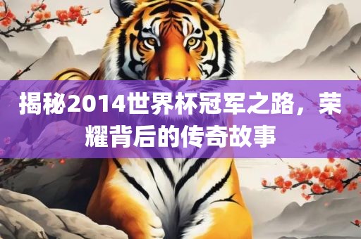 揭秘2014世界杯冠军之路，荣耀背后的传奇故事