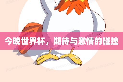 今晚世界杯，期待与激情的碰撞