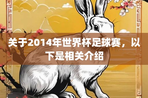 关于2014年世界杯足球赛，以下是相关介绍