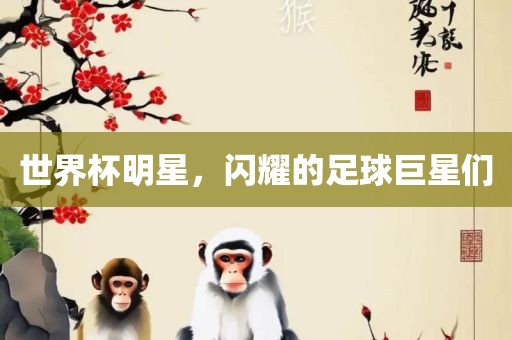 世界杯明星，闪耀的足球巨星们