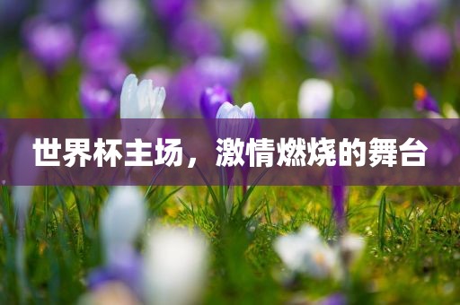 世界杯主场，激情燃烧的舞台