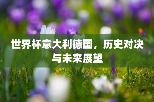 世界杯意大利德国，历史对决与未来展望