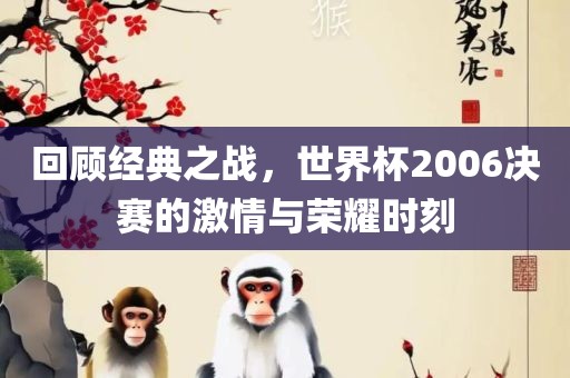 回顾经典之战，世界杯2006决赛的激情与荣耀时刻