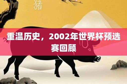 重温历史，2002年世界杯预选赛回顾