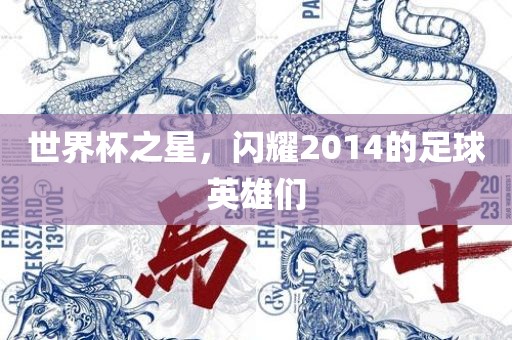 世界杯之星，闪耀2014的足球英雄们
