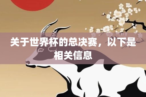 关于世界杯的总决赛，以下是相关信息