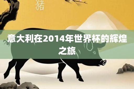 意大利在2014年世界杯的辉煌之旅