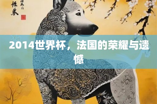 2014世界杯，法国的荣耀与遗憾