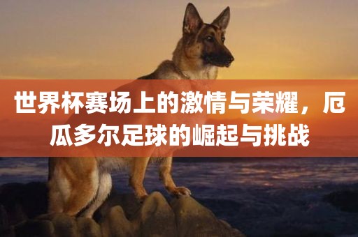 世界杯赛场上的激情与荣耀，厄瓜多尔足球的崛起与挑战
