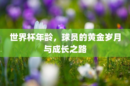 世界杯年龄，球员的黄金岁月与成长之路