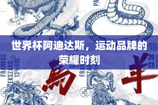 世界杯阿迪达斯，运动品牌的荣耀时刻