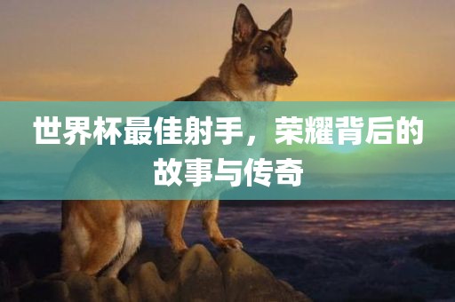 世界杯最佳射手，荣耀背后的故事与传奇