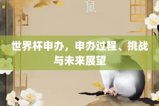 世界杯申办，申办过程、挑战与未来展望