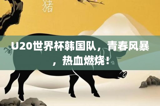 U20世界杯韩国队，青春风暴，热血燃烧！